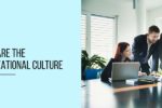 What are the types of Organizational Culture