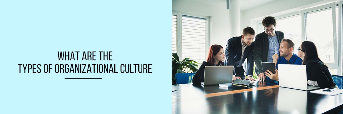 What are the types of Organizational Culture