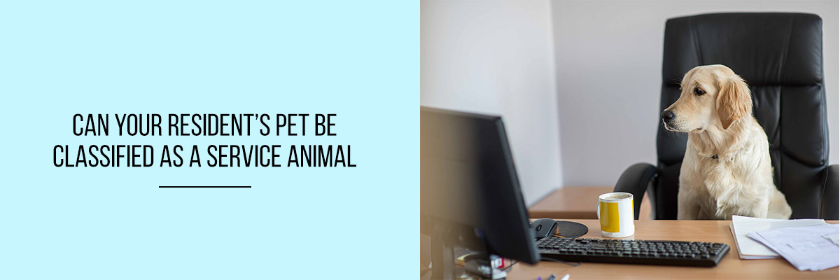 Can-your-Resident’s-Pet-be-Classified-as-a-Service-Animal