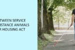 Differences-Between-Service-Animals-and-Assistance-Animals-Under-The-Fair-Housing-Act