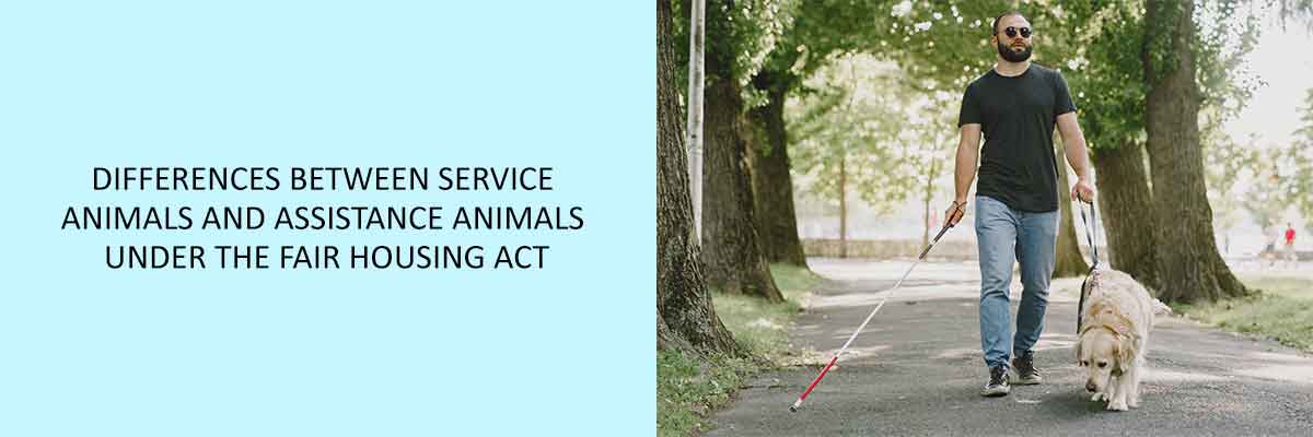 Differences-Between-Service-Animals-and-Assistance-Animals-Under-The-Fair-Housing-Act
