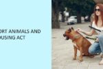 Emotional-Support-Animals-and-The-Fair-Housing-Act