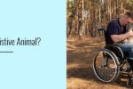 What-is-an-Assistive-Animal