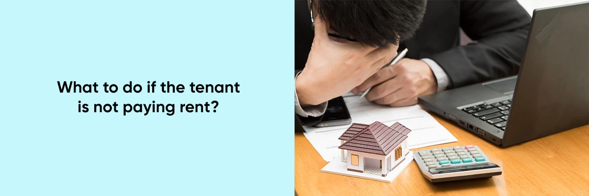 What-to-do-if-the-tenant-is-not-paying-rent