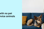 Can-rental-with-no-pet-policy-deny-service-animals